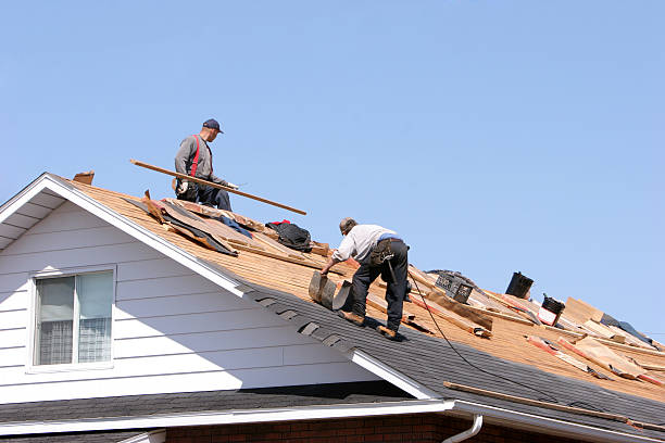 Best Metal Roofing Installation  in Martin, SD