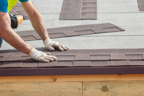 Best Asphalt Shingle Roofing  in Martin, SD